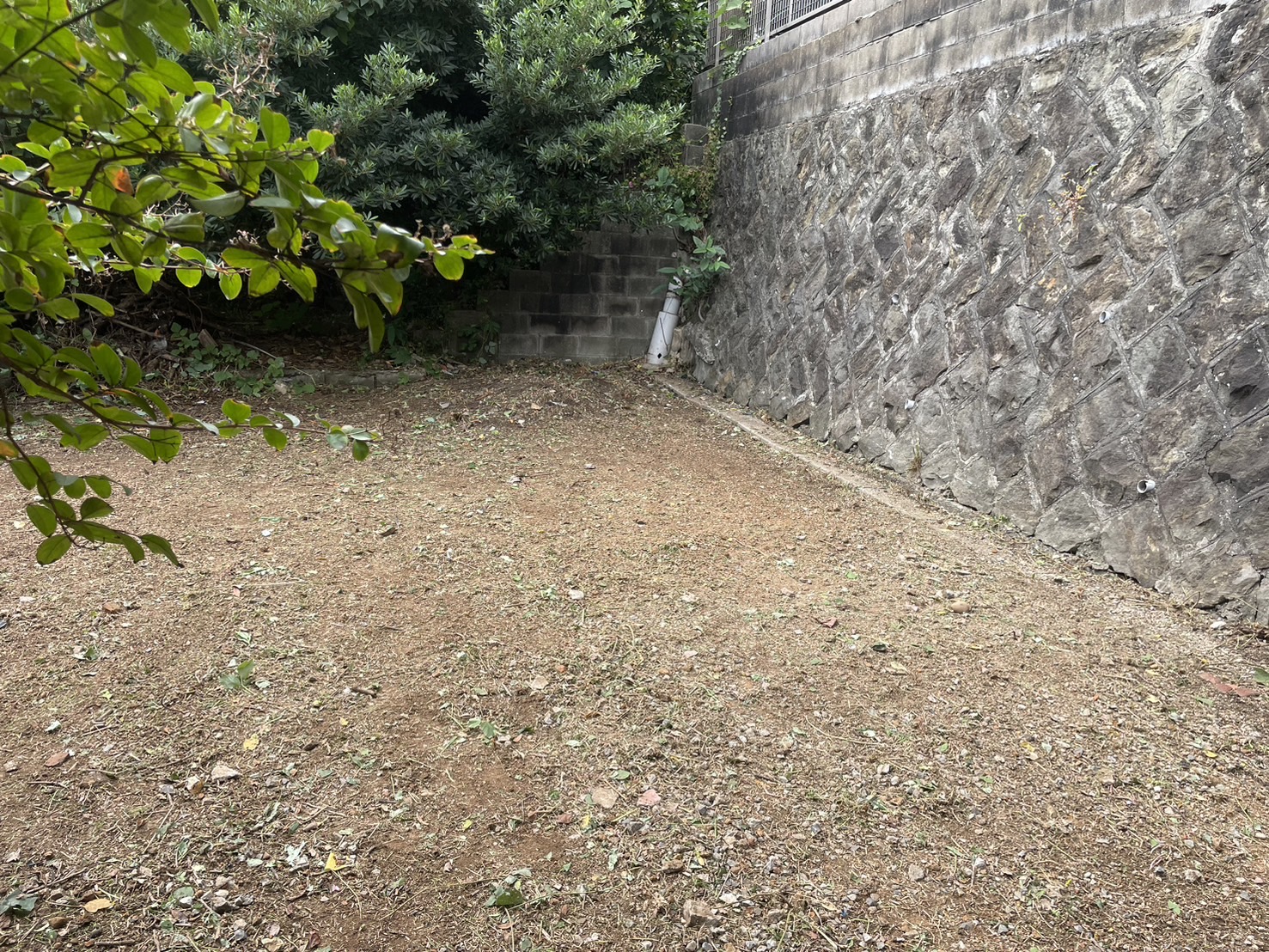 草刈り アフター